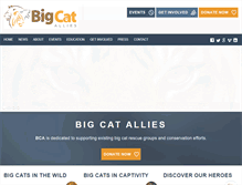 Tablet Screenshot of bigcatallies.org